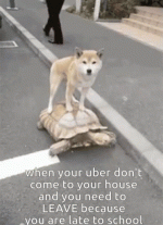1678746395468.gif