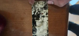 20230924_002552.webp