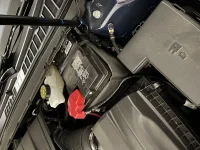 IMG_0968.jpeg IMG_0968.jpeg