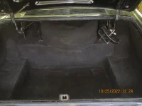 Trunk 10-2022.webp