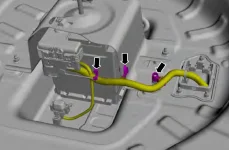 1000008046.webp 1000008046.webp