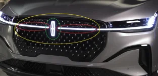 Lincoln Embrace Dynamic Emblem.webp