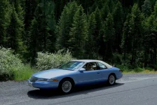 Old Blue in the Pines fixed.webp