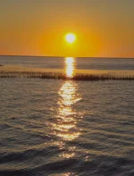 1000091885.webp