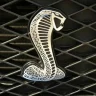 ShelbyGt5002007