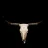 lassetexan