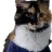 Cruzincat