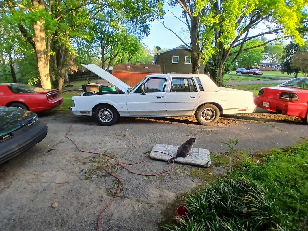 20250418-183626.jpg