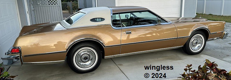 53662685985_9dcf15f907_c.jpg